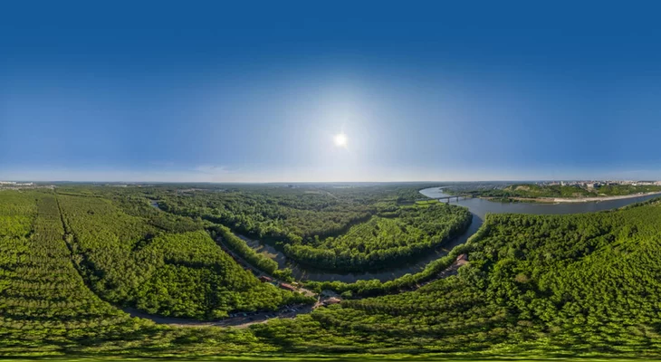 Правила вывода залесенного сельскохозяйственного участка из сельскохозяйственного оборота